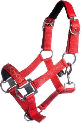 HKM KIDS Halfter -Aymee-