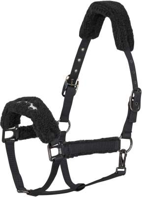 HV POLO Halfter HVPTeddy