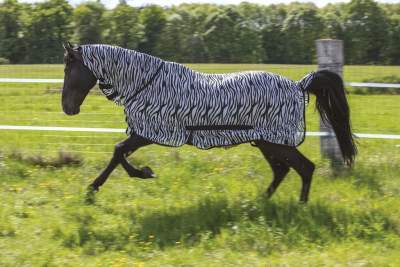 Netzdecke RIDING WORLD Combo