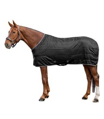 WALDHAUSEN ECONOMIC Stalldecke, 300 g