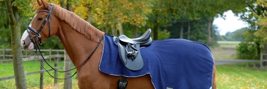 Ausreitdecke aus Fleece