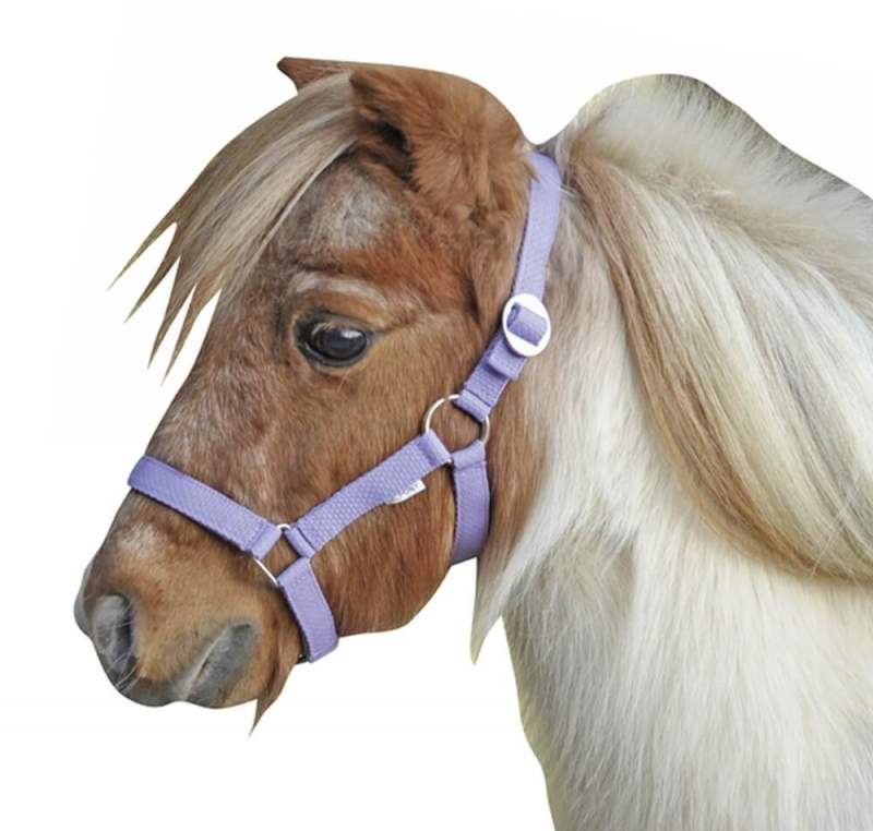 Mini Coperta Da Sella Equestre HKM Cranberry 115cm Per Falabella E Pony - Pile Traspirante Con Cinghia Per Coda