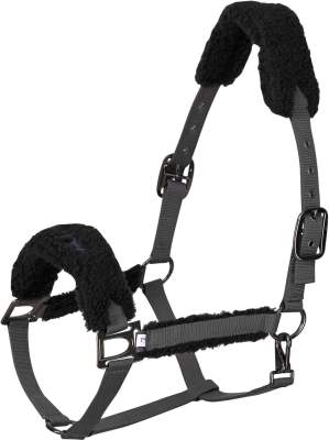 HV POLO Halfter HVPTeddy