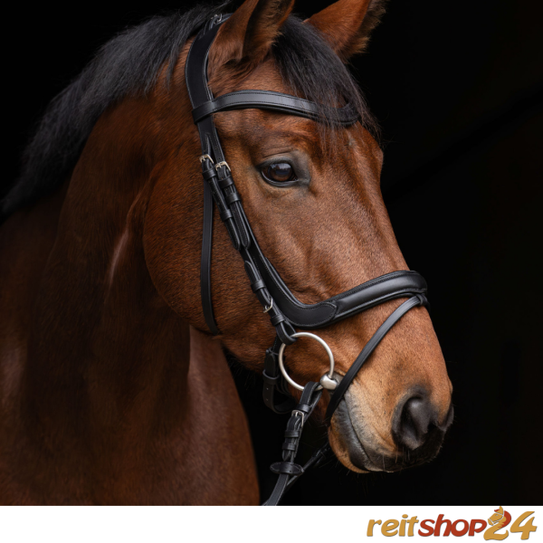 BLOG-Trense