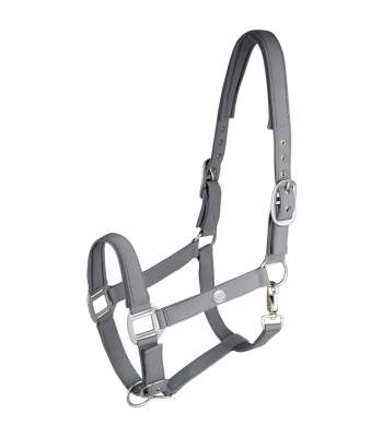 WALDHAUSEN Halfter Trinidad