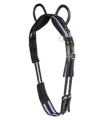 WALDHAUSEN Longiergurt mit zwei Handgriffen
