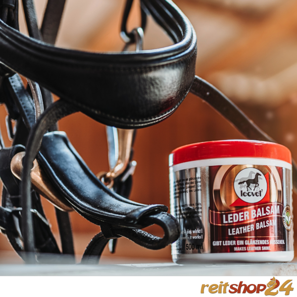 BLOG-Schimmel-am-Leder-Reitshop24