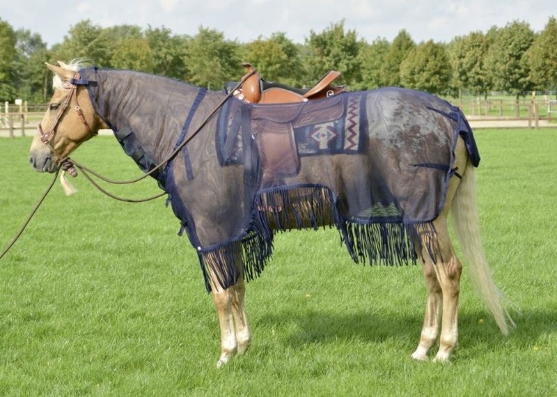 BUSSE Ausreitdecke MONTANA-FRANSEN