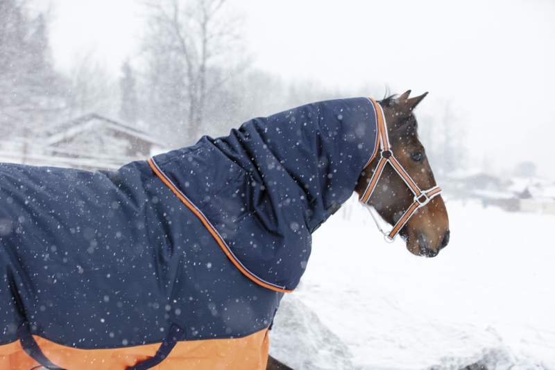 Equi-Theme Pferdedecke – Wasserdicht & Atmungsaktiv, 600D, Hochhals, 175 Cm, Marineblau/grau – Perfekt Für Die Übergangszeit