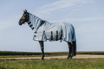 RIDING WORLD - Belly Mesh - Combo Decke