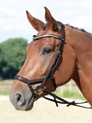 BUSSE Trense EMOTION