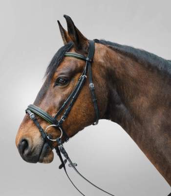 WALDHAUSEN STAR Trensenzaum Diamond