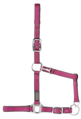 USG Halfter EVERYDAY, zweifarbig, unterlegt