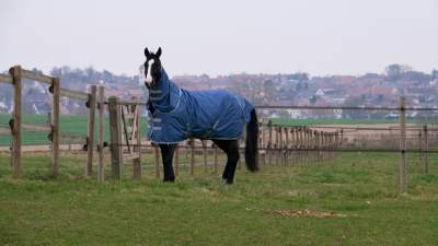 EQUITHÈME TYREX 600D Recyceltes Halsteil