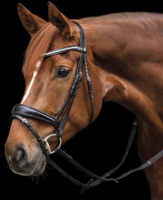 Waldhausen Trensenzaum Santander - Englisch Kombiniert Für Pferde