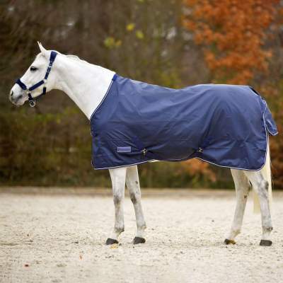 WALDHAUSEN ECONOMIC Regendecke