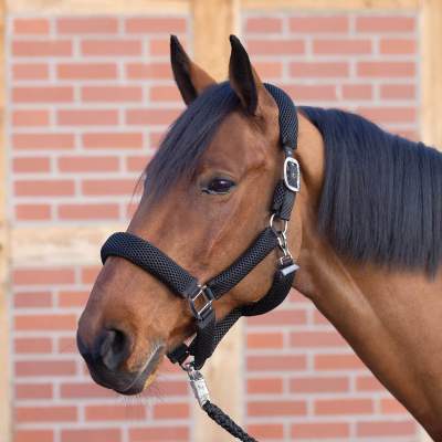 BUSSE Halfter 3D AIR EFFECT PLUS