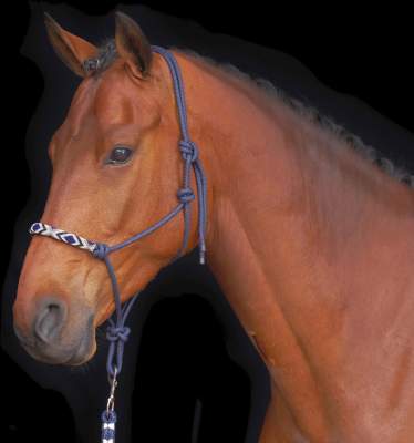 HV POLO Halfter HVPLamu