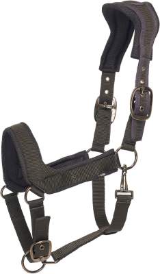 HV POLO Halfter HVPEsther