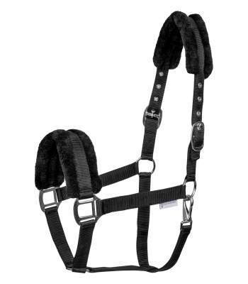 WALDHAUSEN Halfter First